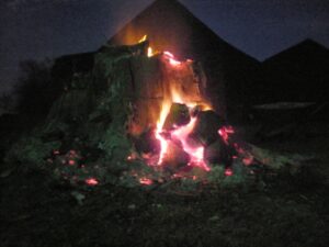 Man vs. Stump – The Misfit Farmer
