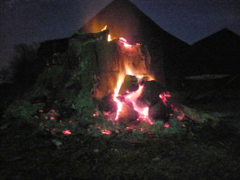 Man vs. Stump – The Misfit Farmer