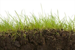 Soil Decomposition – Agriculture Dictionary