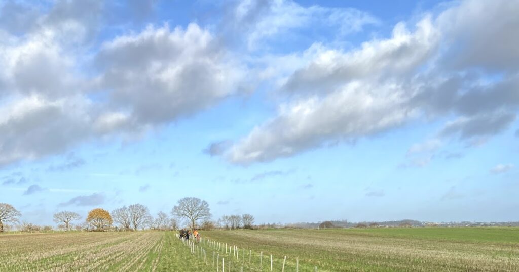 29) farmingGeorge’s Fobbing Farm Update: Trees!