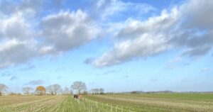 29) farmingGeorge’s Fobbing Farm Update: Trees!